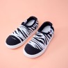 Panchas Kioshi Poki Zebra